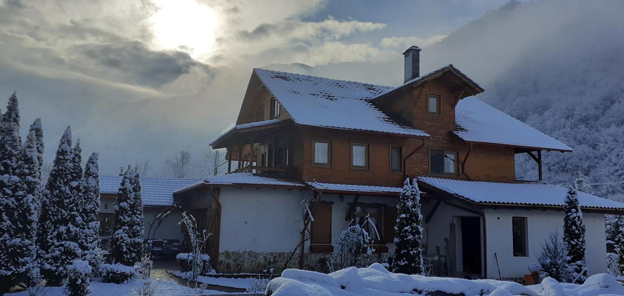 Gasthaus Maria Borlova Eksteriør billede