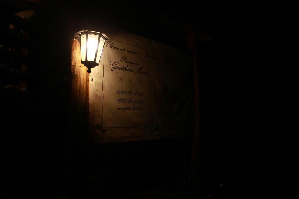 Gasthaus Maria Borlova Eksteriør billede